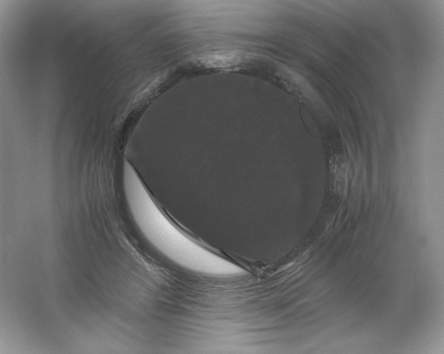 X0000066110404200603241549