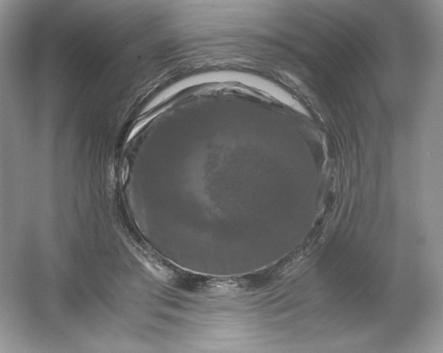 X0000066110405200603241549