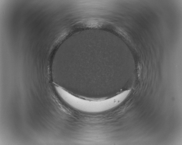 X0000066110407200603241549