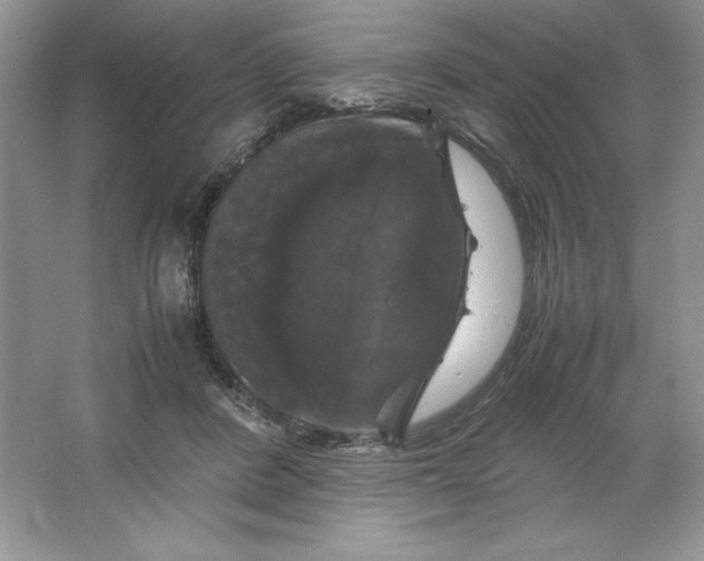 X0000066110408200603241549