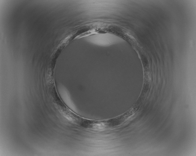 X0000066110411200603241549