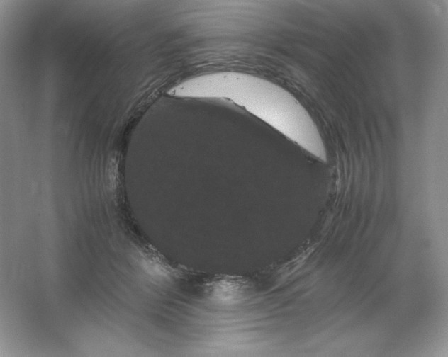 X0000066110412200603241549