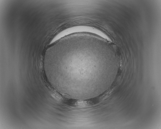 X0000066110413200603241549