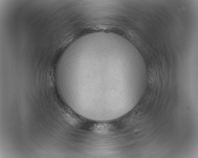 X0000066110414200603241549