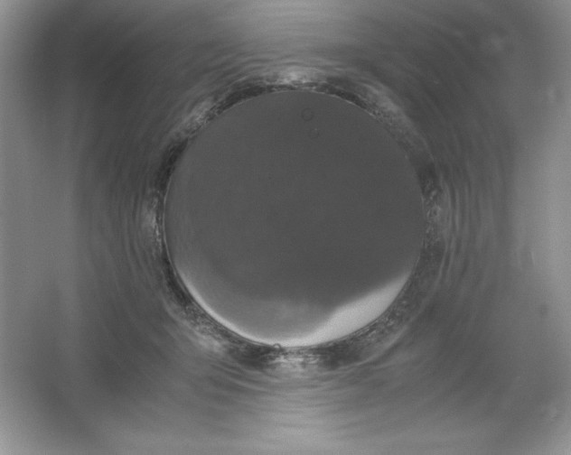 X0000066110415200603241549