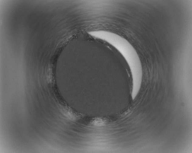 X0000066110416200603241549