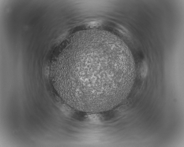 X0000066110417200603241549