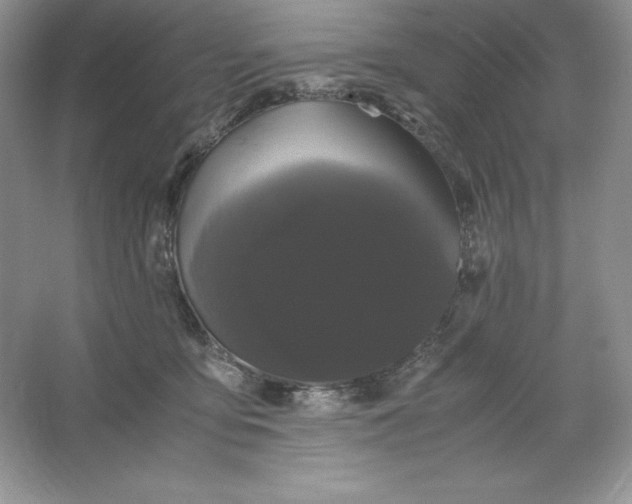 X0000066110419200603241549