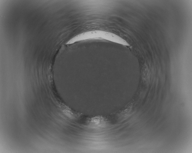 X0000066110420200603241549
