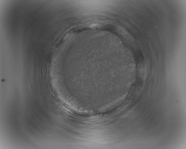 X0000066110421200603241549