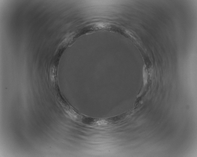 X0000066110423200603241549