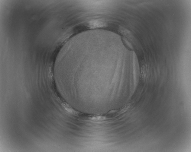 X0000066110426200603241549