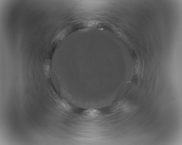 X0000066110427200603241549