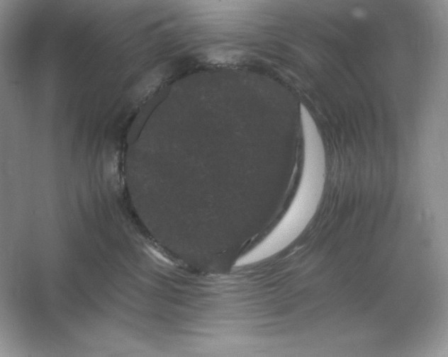 X0000066110428200603241549
