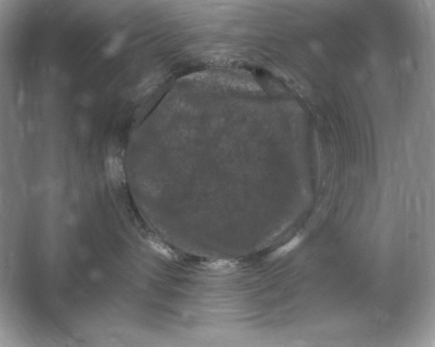 X0000066110432200603241549