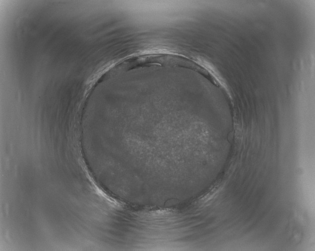 X0000066110433200603241548