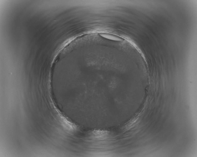X0000066110437200603241548