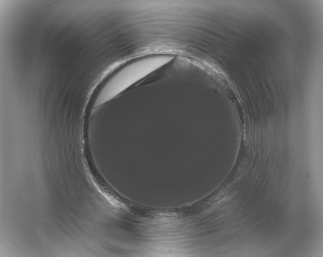 X0000066110438200603241548