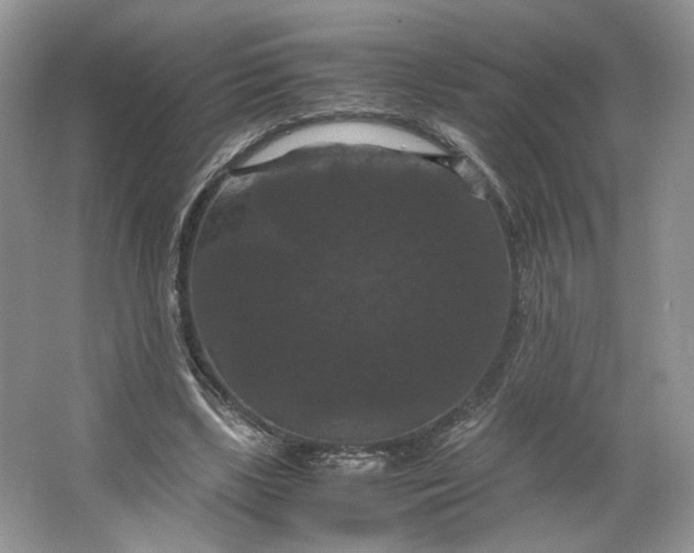 X0000066110443200603241548