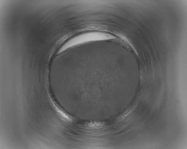 X0000066110445200603241548