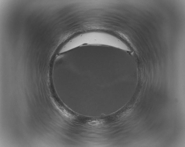 X0000066110447200603241548