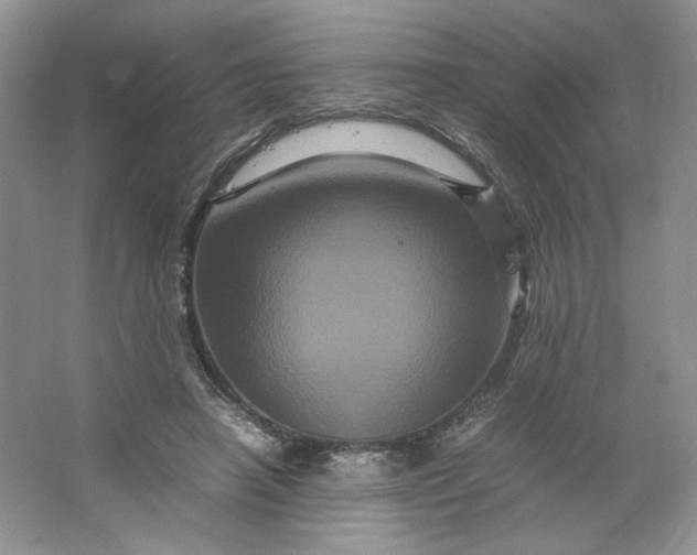 X0000066110450200603241548