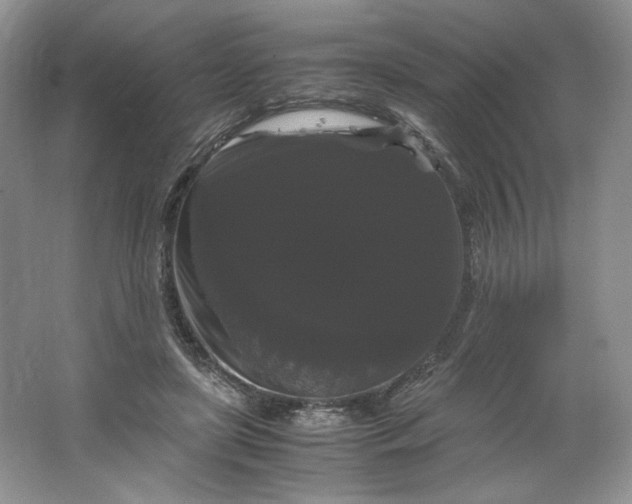X0000066110451200603241548