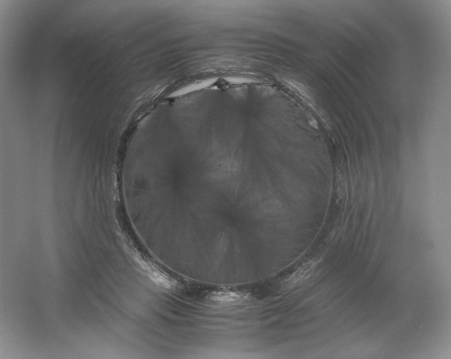 X0000066110453200603241548
