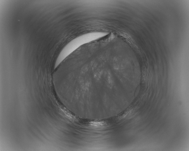 X0000066110457200603241548