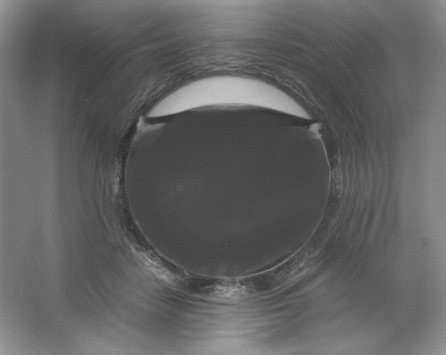 X0000066110458200603241548