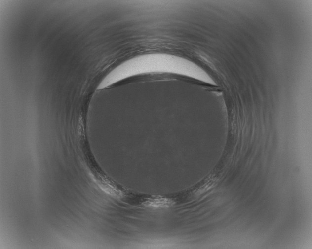 X0000066110459200603241548