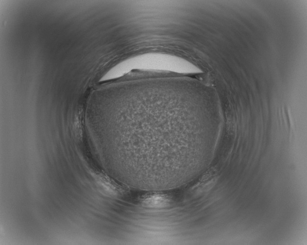 X0000066110460200603241548