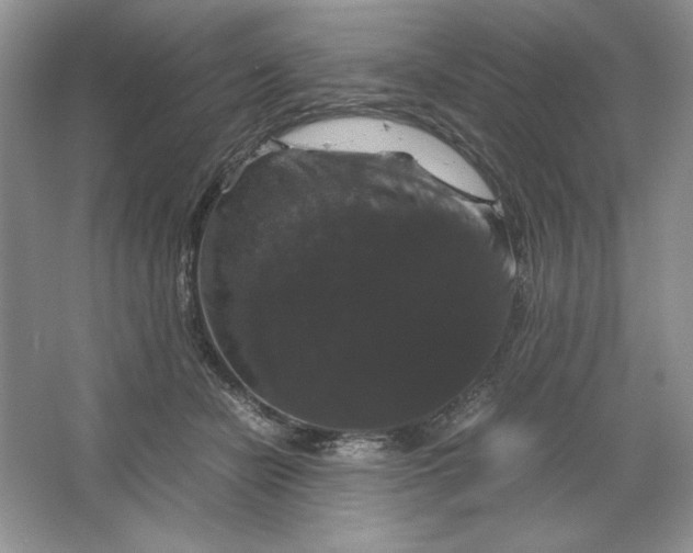 X0000066110462200603241548