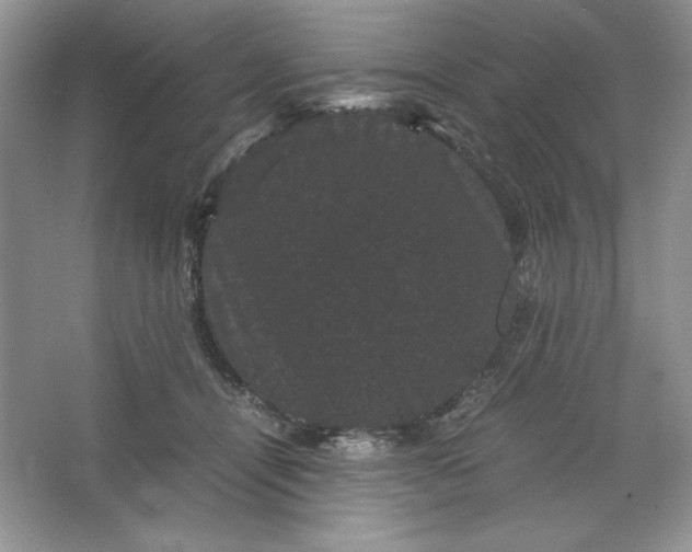 X0000066110464200603241549