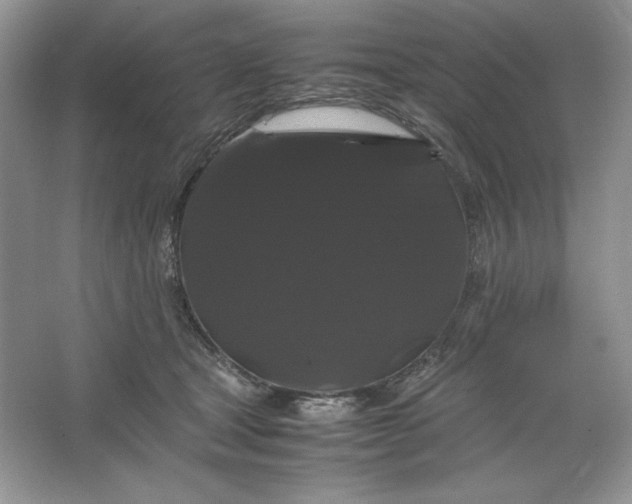 X0000066110465200603241549