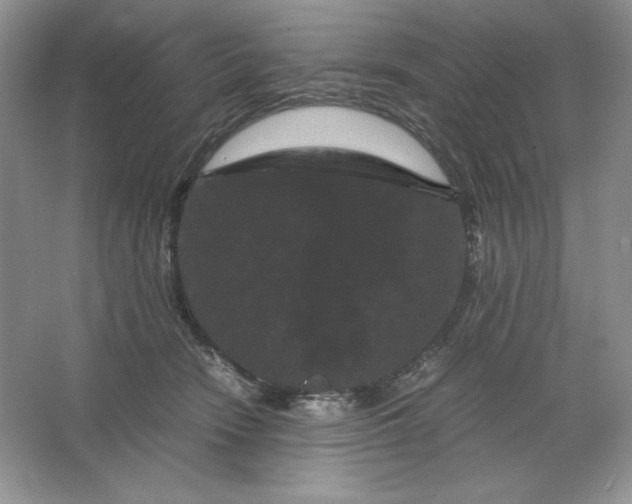 X0000066110466200603241549