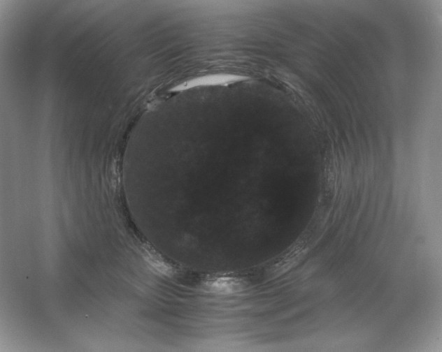 X0000066110467200603241549