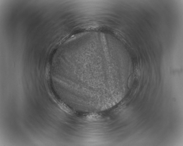 X0000066110468200603241549