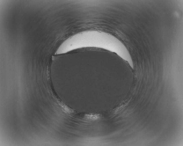 X0000066110469200603241549