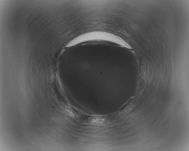 X0000066110471200603241549