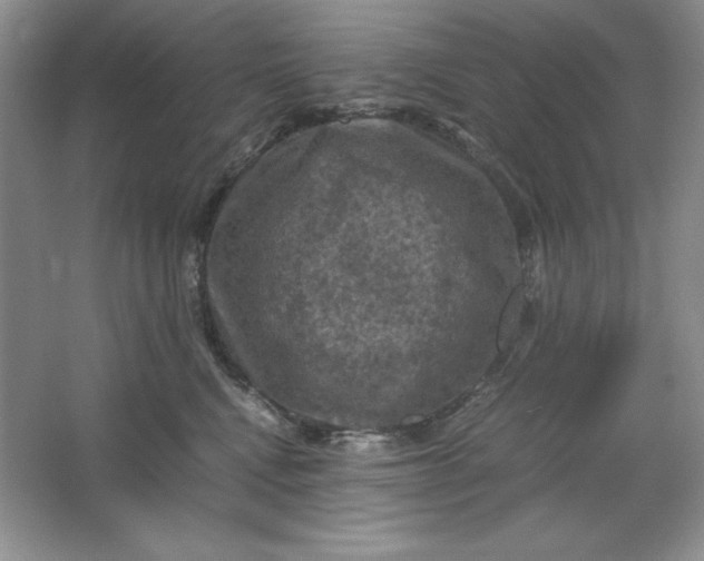 X0000066110472200603241549
