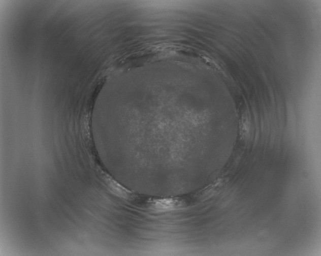 X0000066110473200603241549