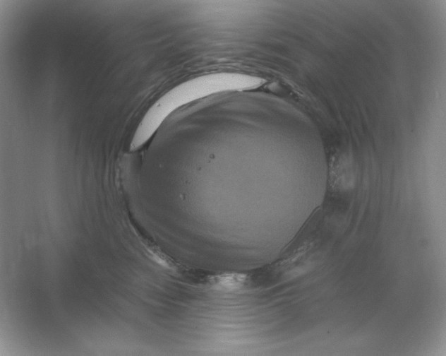 X0000066110474200603241549