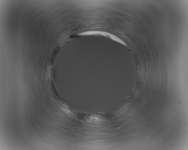 X0000066110475200603241549