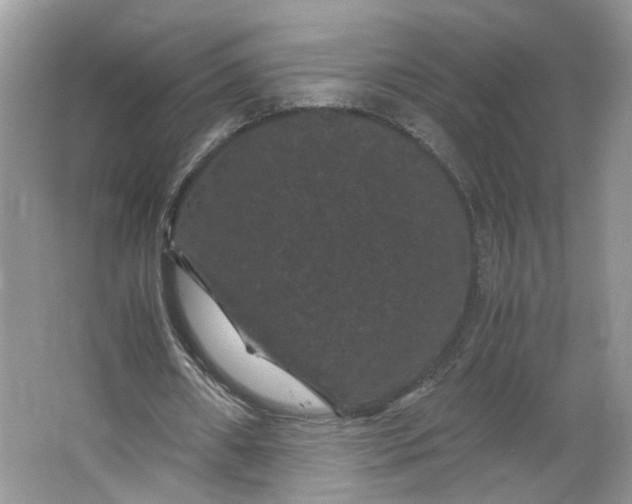 X0000066110482200603241548