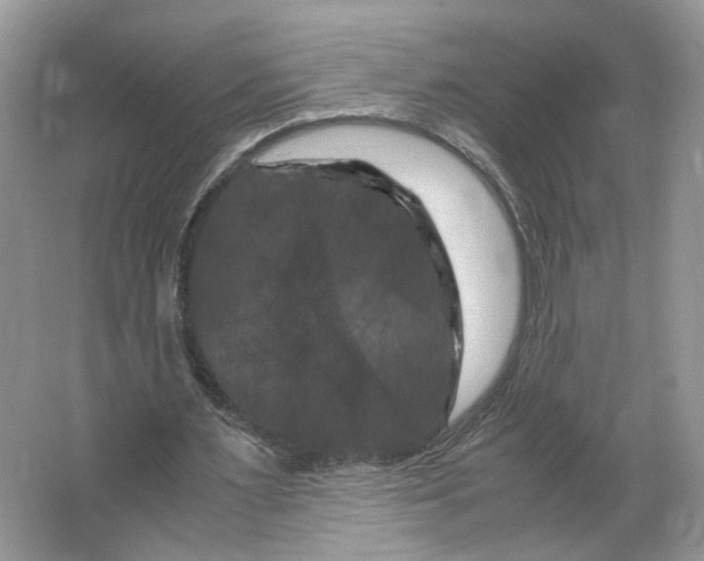 X0000066110483200603241548