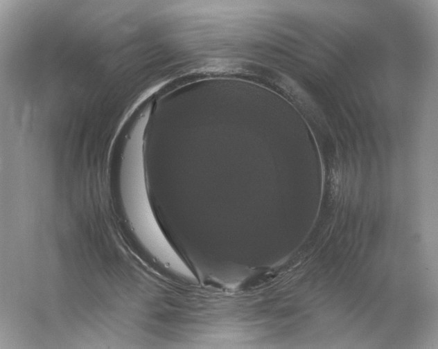 X0000066110484200603241548