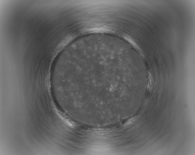 X0000066110486200603241548