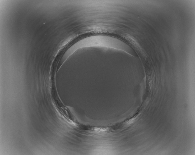 X0000066110488200603241548