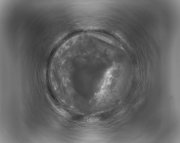 X0000066110491200603241548